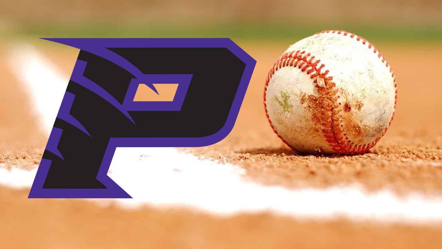 Fall Ball Report: Paine Baseball is Back and the Lions Have Started Scrimmages